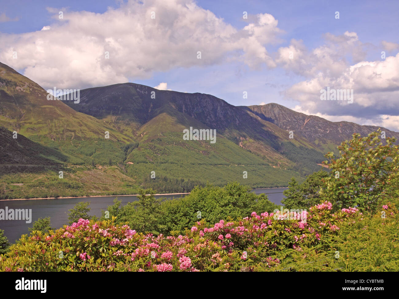 Regno Unito Scozia Highland Inverness-shire Loch Lochy in primavera Foto Stock