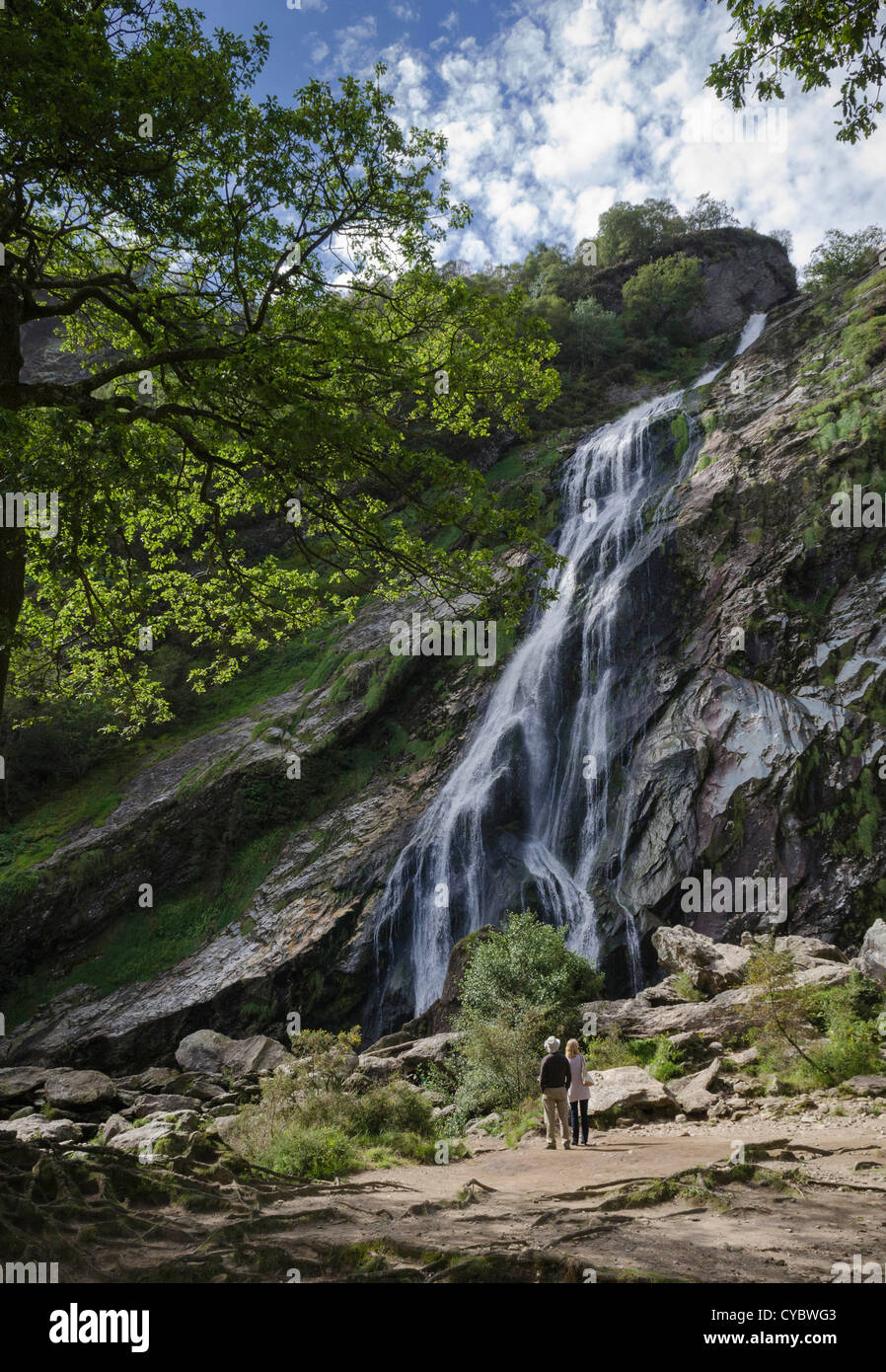Cascata, al Powerscourt, County Wicklow, Repubblica di Irlanda Foto Stock