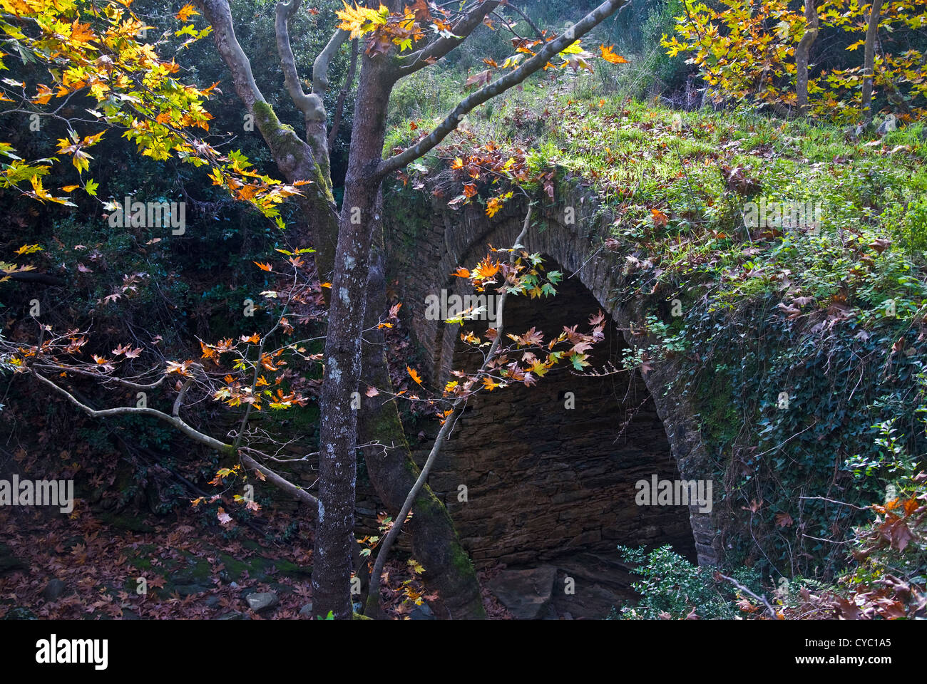 Centinaia di anni il vecchio ponte in pietra come parte di una vecchia mulattiera sulla penisola di Pelion (Tessaglia, Grecia) Foto Stock