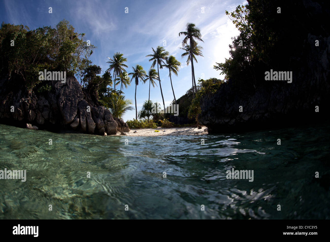 Palme da cocco linea una piccola spiaggia di sabbia vicino a una diversa barriera corallina. Misool Raja Ampat, Papua, Indonesia, Oceano Pacifico. Foto Stock