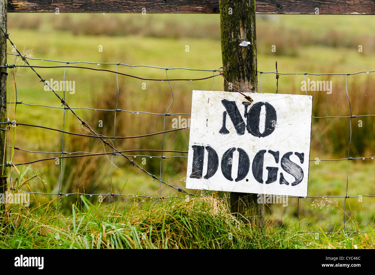 Segno su un recinto intorno ad un campo dicendo "no cani' per impedire a persone di caccia Foto Stock