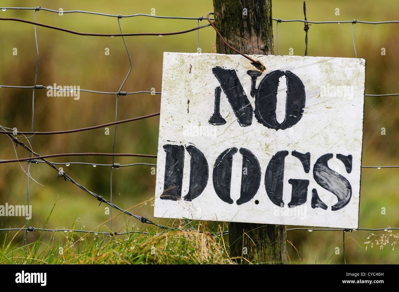 Segno su un recinto intorno ad un campo dicendo "no cani' per impedire a persone di caccia Foto Stock