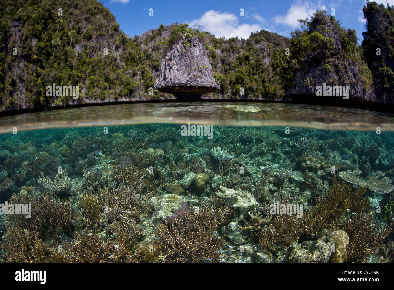 Una variegata Coral reef cresce vicino a una serie di isole calcaree nell Indonesia orientale. Le isole sono erosi in corrispondenza della linea di galleggiamento. Foto Stock