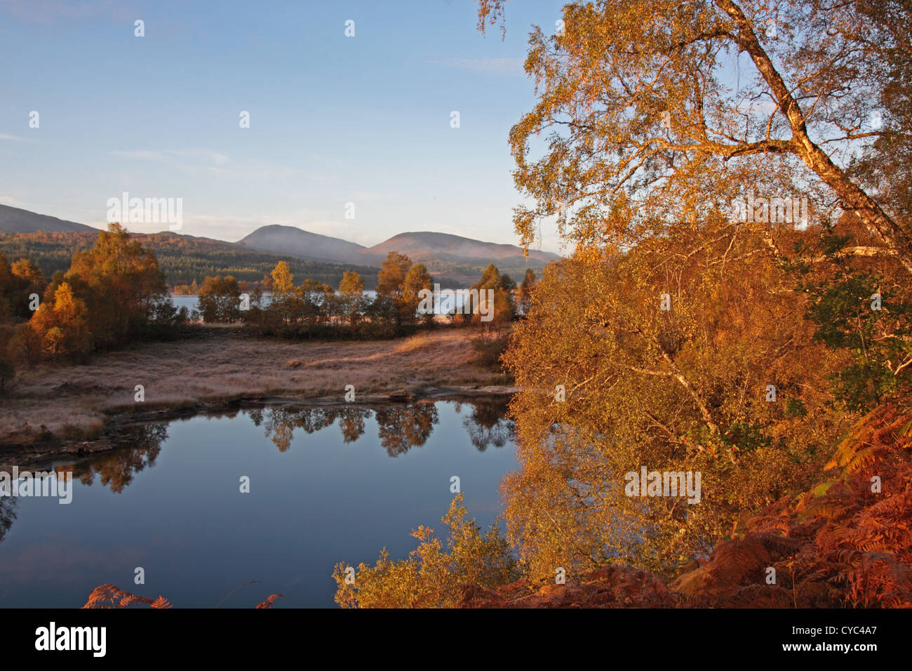 Regno Unito Scozia Highland Inverness-shire Loch Garry e Colore di autunno Foto Stock