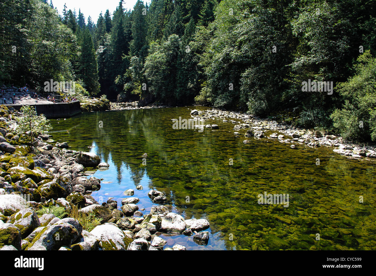 Il Capilano River, Vancouver Foto Stock