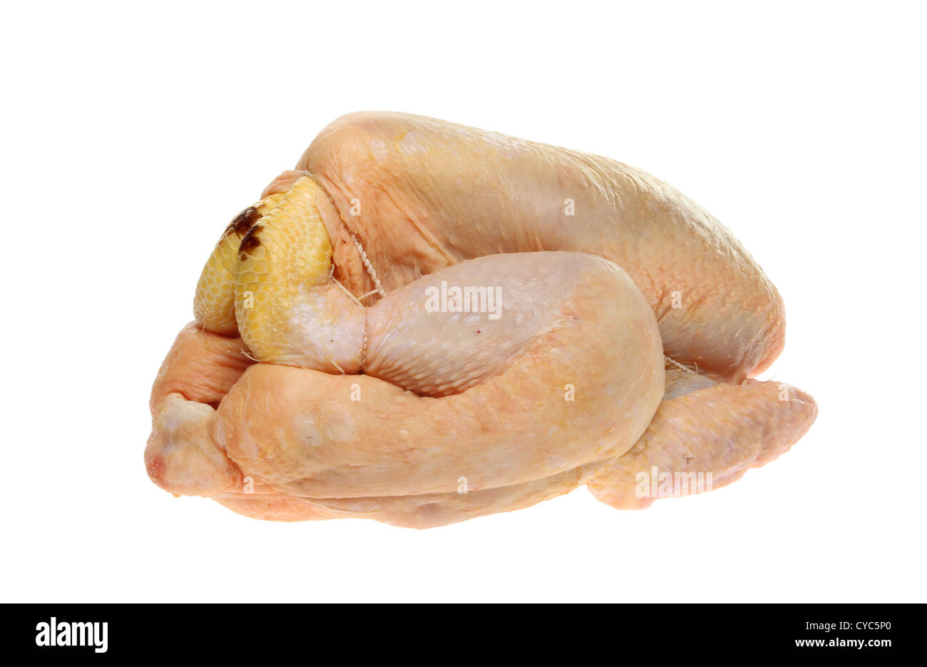 Vista laterale di un grezzo di mais pollo alimentato isolata contro bianco Foto Stock