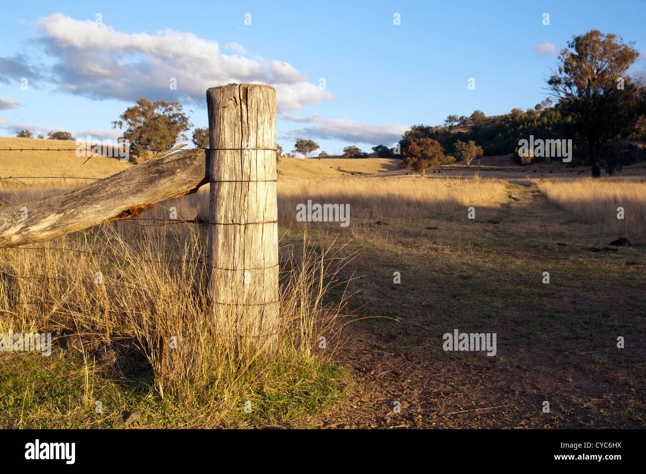 Agriturismo recinzione al gate con apertura paddock dietro in Australia rurale Foto Stock