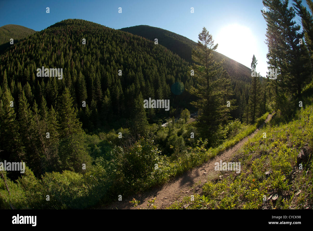 Un vuoto di mountain trail è immersa nella luce dorata. Foto Stock
