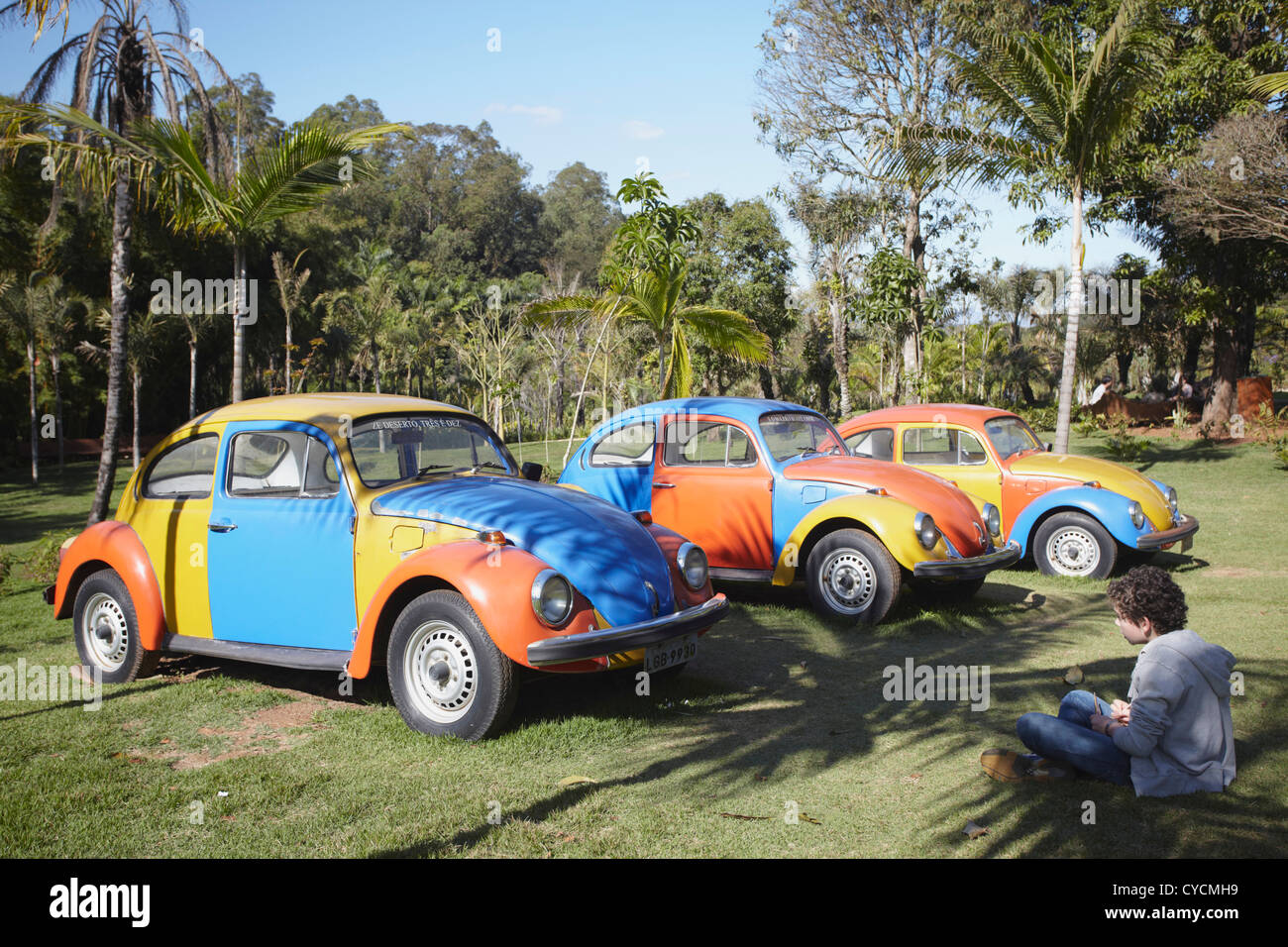 Arte moderna di Jarbas Lopes presso il Centro de Arte Contemporanea Inhotim, Brumadinho, Belo Horizonte, Minas Gerais, Brasile Foto Stock