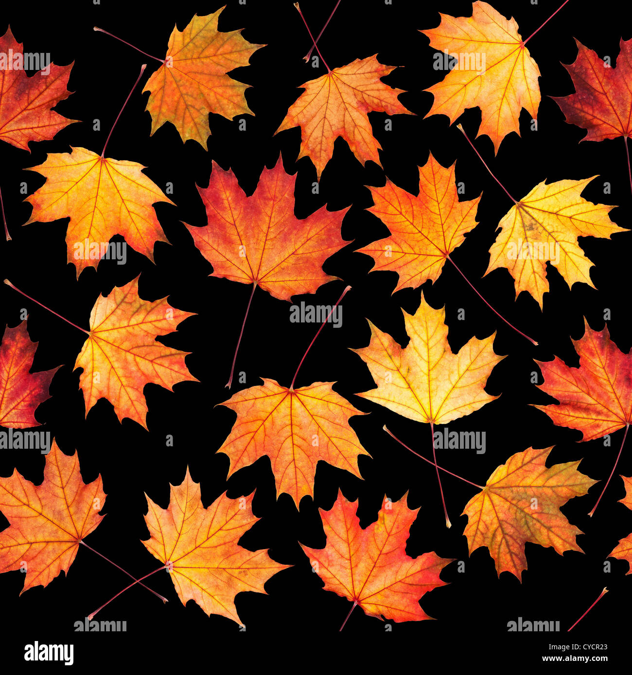 Seamless texture con foglie di acero Foto Stock