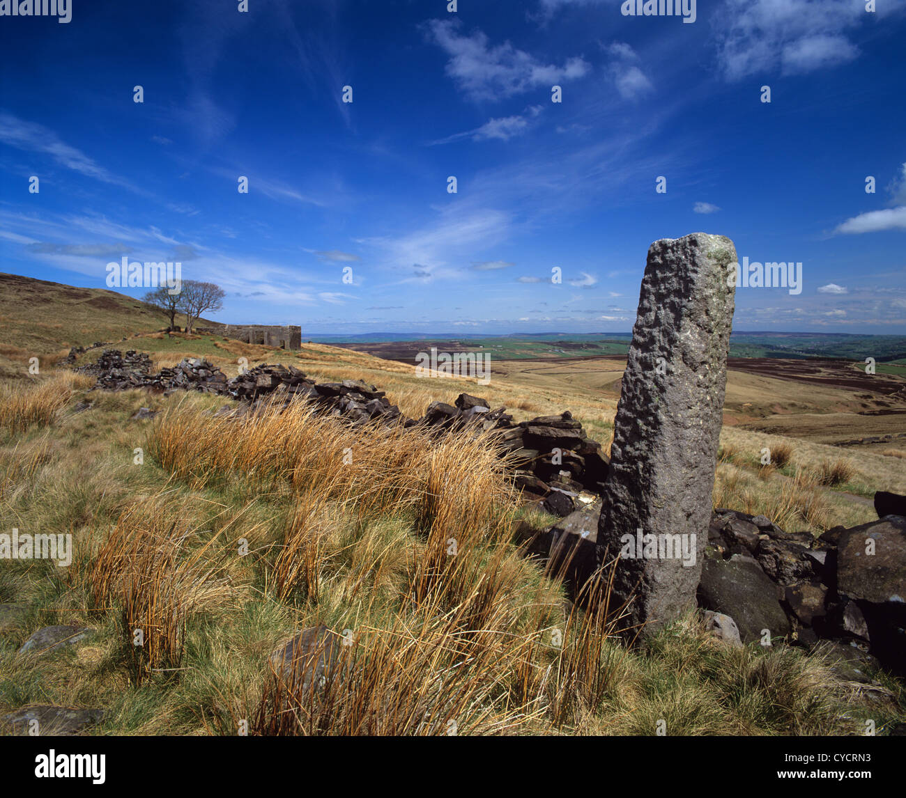 Spazzate dal vento withens top posizione per emily bronte del romanzo Wuthering Heights sopra Howarth Yorkshire Regno Unito Foto Stock
