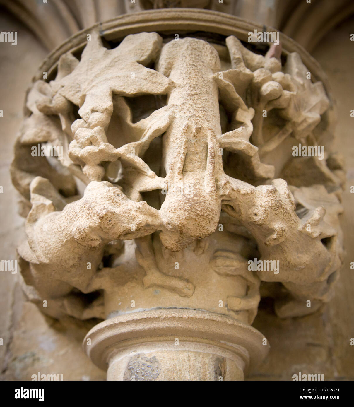 Delicatamente scolpiti weathered capitale di colonna di cani di attaccare un oggetto di atti di caccia lepre a Southwell Minster Nottinghamshire chapter house. Foto Stock