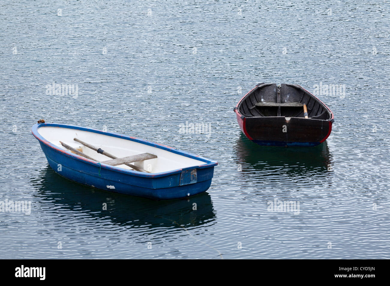 Barca a remi galleggiante sul Lough hyne lago marino West Cork in Irlanda Foto Stock