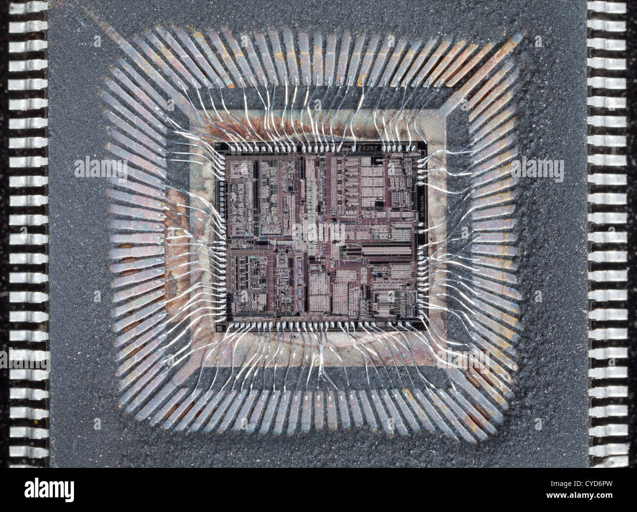 Unità disco rigido silicon chip di circuiti integrati, chip con il collegamento di fili di argento Foto Stock