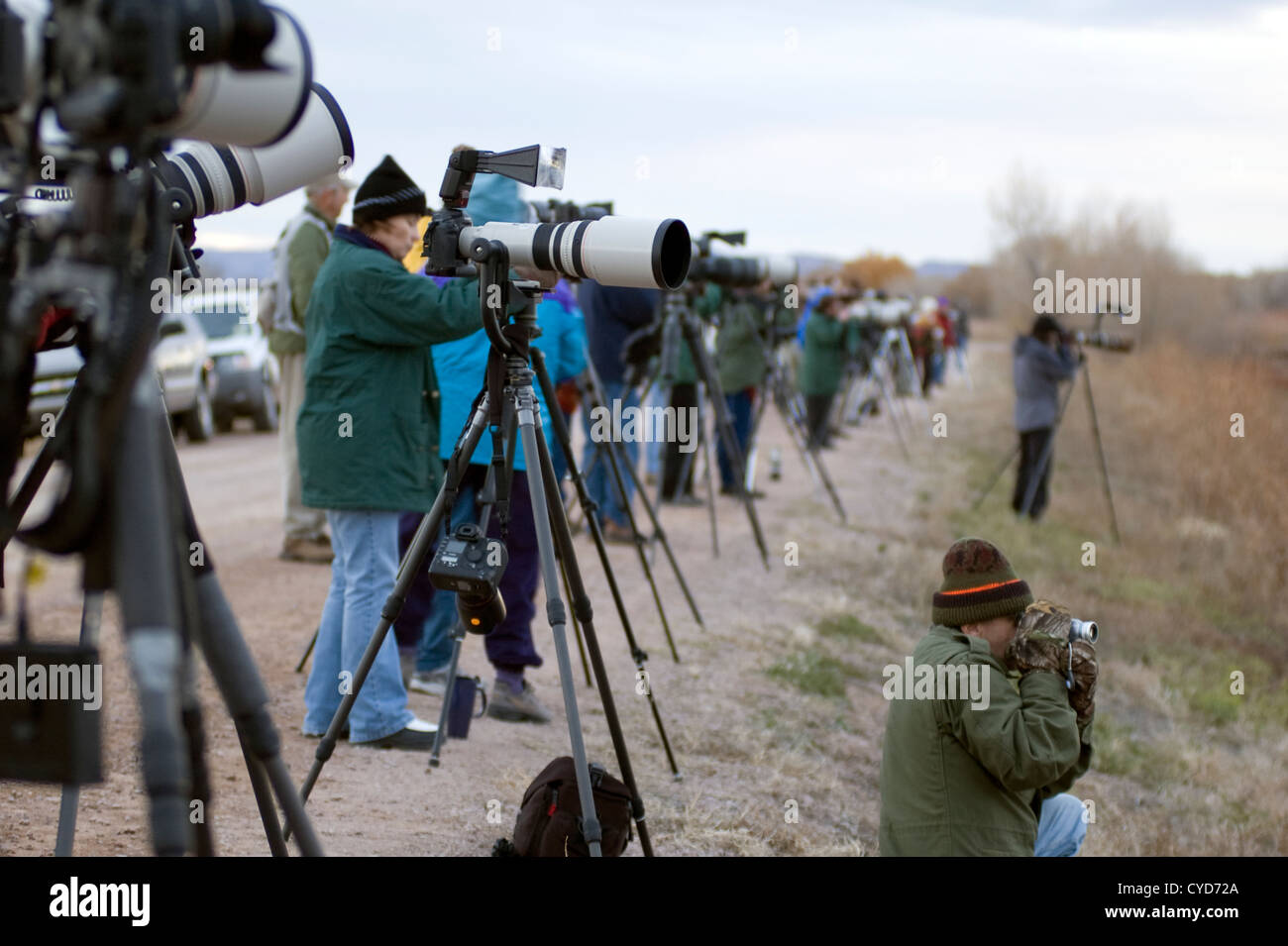 Fotografi a Bosque del Apache Wildlife Refuge, nuovo Messico, Stati Uniti d'America - fotografare gli uccelli selvatici Foto Stock