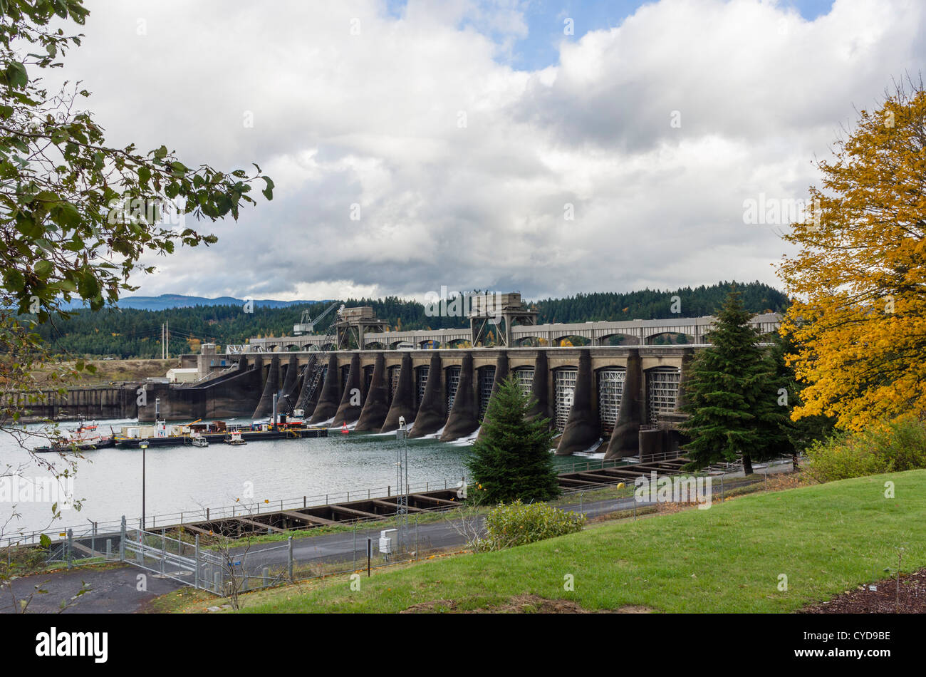 La Bonneville Dam sul fiume Columbia, Columbia River Gorge, Multnomah County, Oregon, Stati Uniti d'America Foto Stock