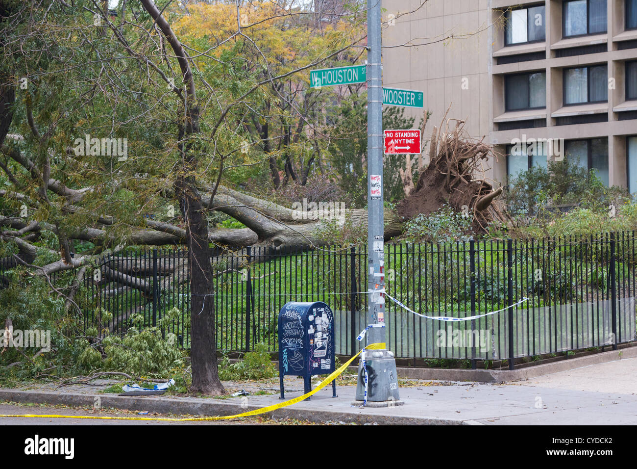 NEW YORK, NY, Stati Uniti d'America - 31 ottobre 2012: devastato parchi e alberi abbattuti dopo l uragano Sandy ha colpito New York, NY, STATI UNITI D'AMERICA, il 31 ottobre 2012. Foto Stock