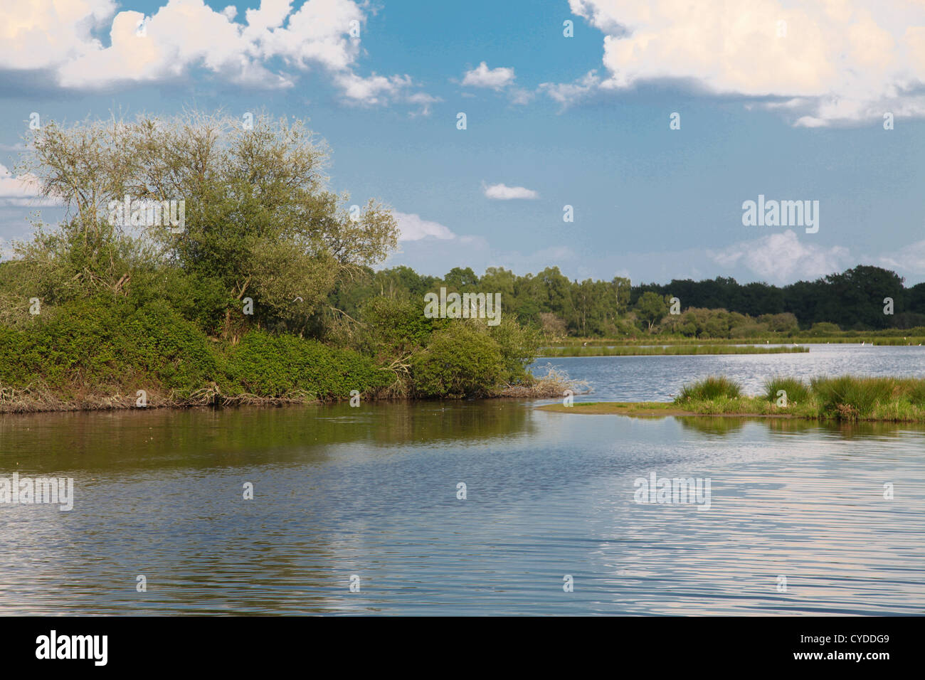Lake in Sologne Foto Stock