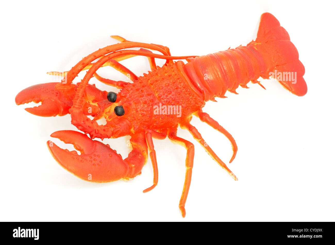 Giocattolo estate mare divertimento in viaggio tropicale acqua vacanze lusso costoso viaggio vita attività di baia di energia natura oceano Foto Stock