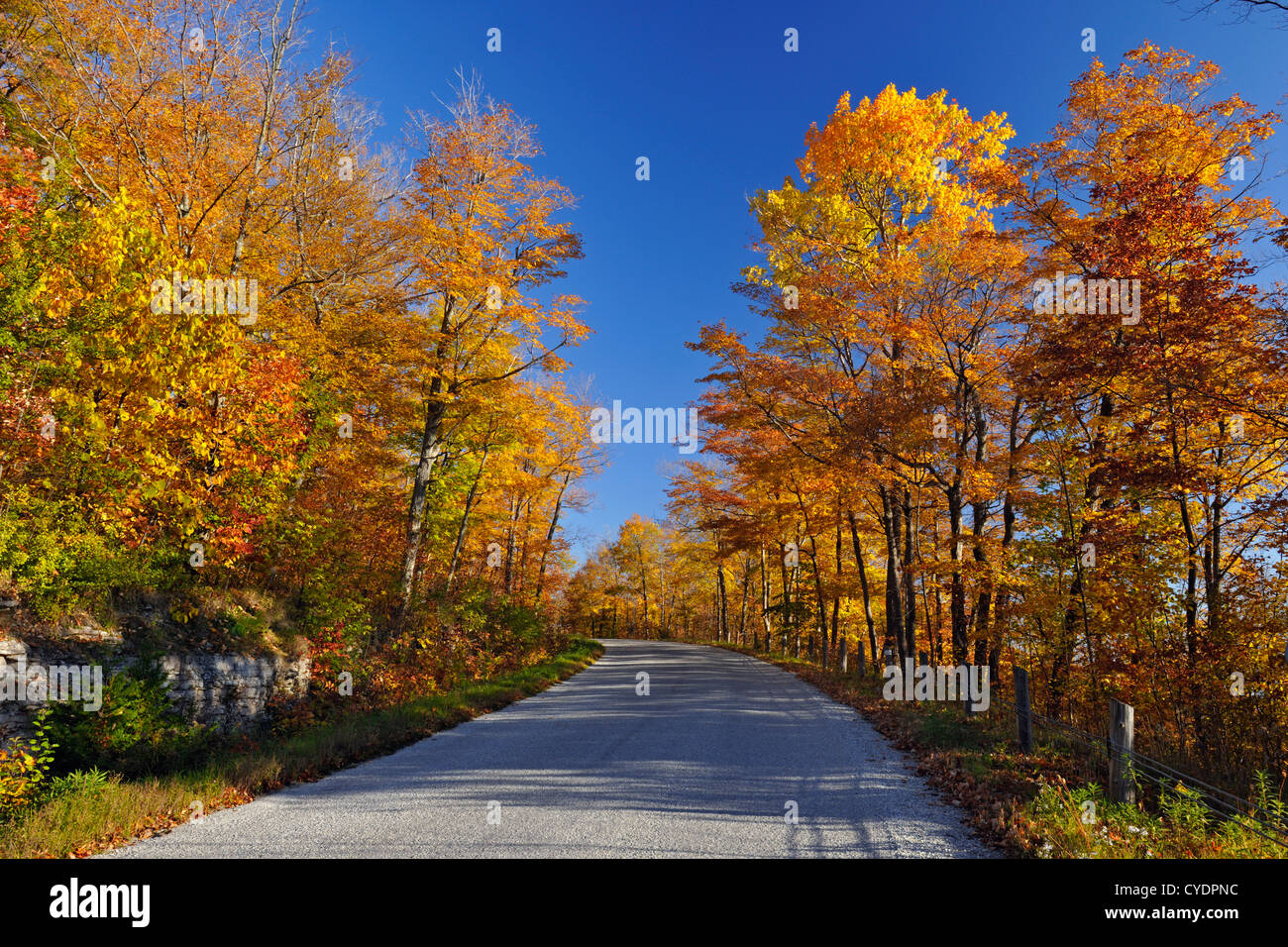 Monumento Road e alberi d'autunno, Manitoulin è. Mindemoya, Ontario, Canada Foto Stock