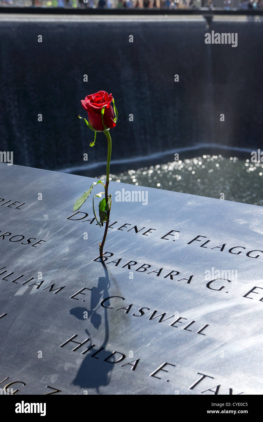 Single rose al commercio mondiale 9/11 Memorial omaggio di ricordo, New York, Stati Uniti d'America Foto Stock