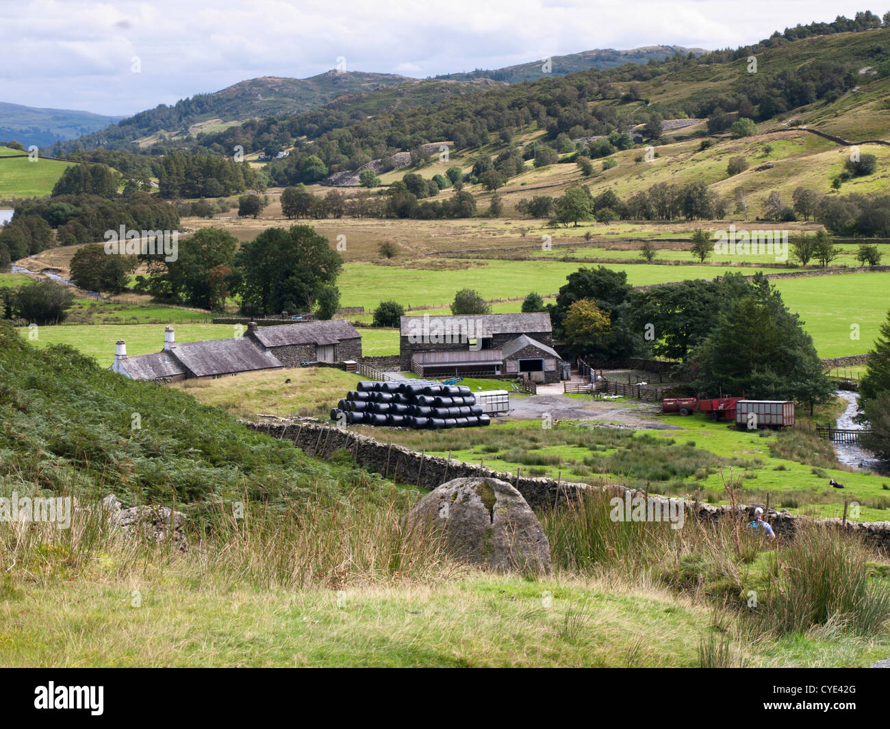 Caduto il piede farm in Lake District Inghilterra può essere visto dal passaggio percorso escursionistico Foto Stock