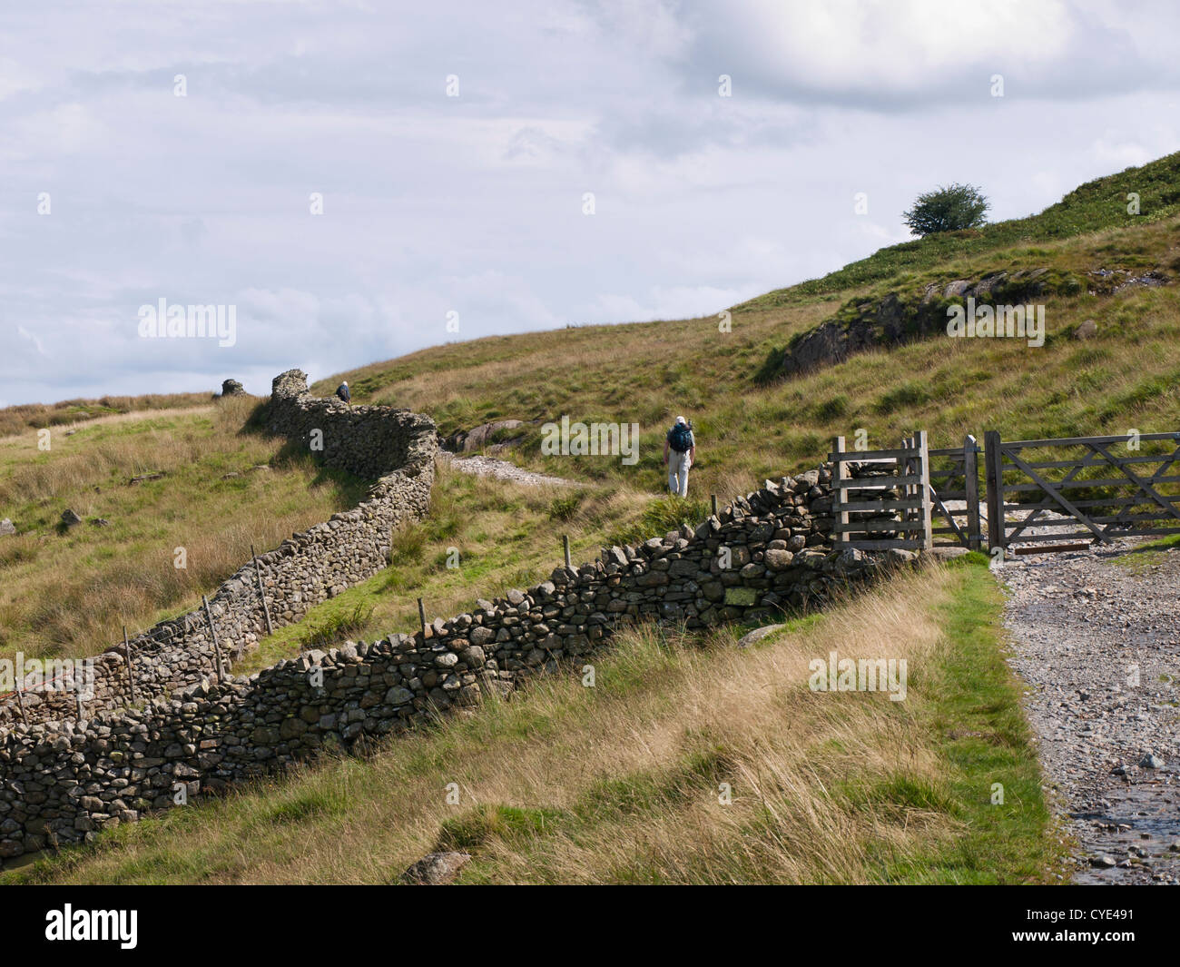 Escursionismo nel Lake District Inghilterra, salita da poco Langdale Foto Stock