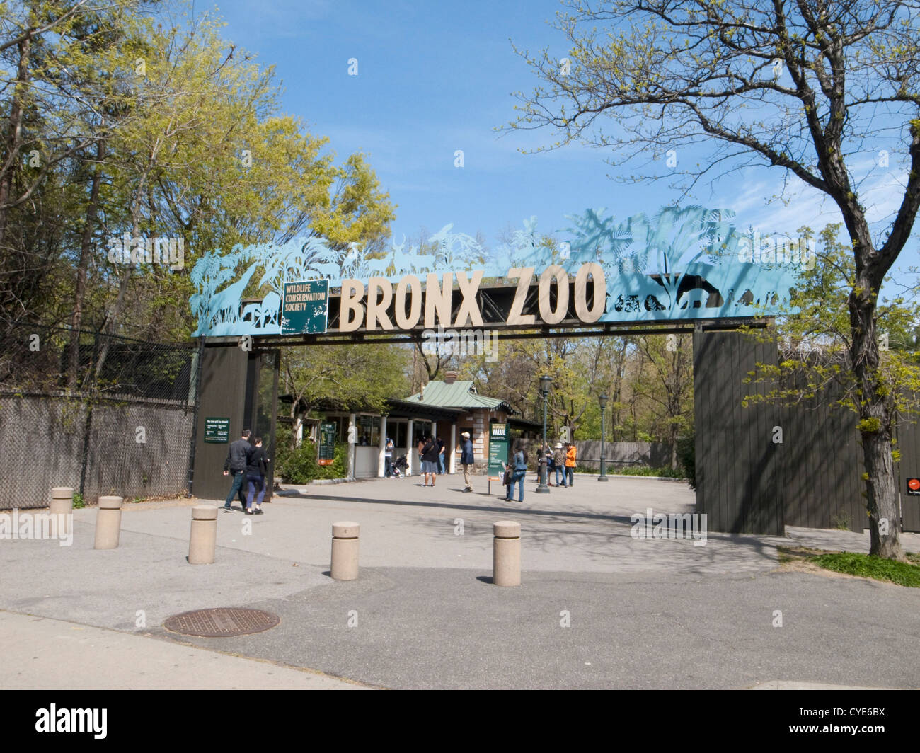 Zoo del Bronx. Foto Stock