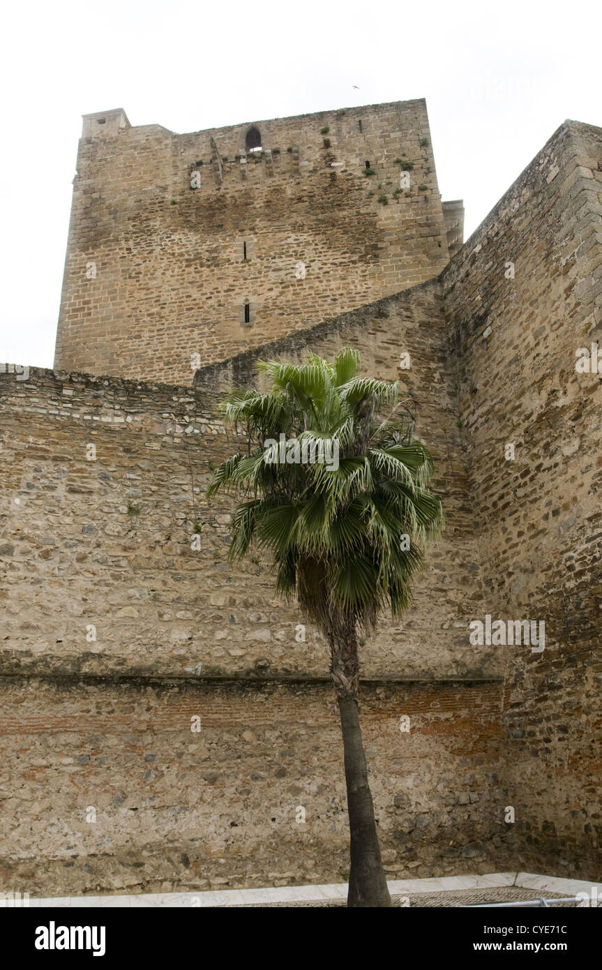 Architettura dettaglio in Olivenza, regione di Badajoz in Spagna Foto Stock