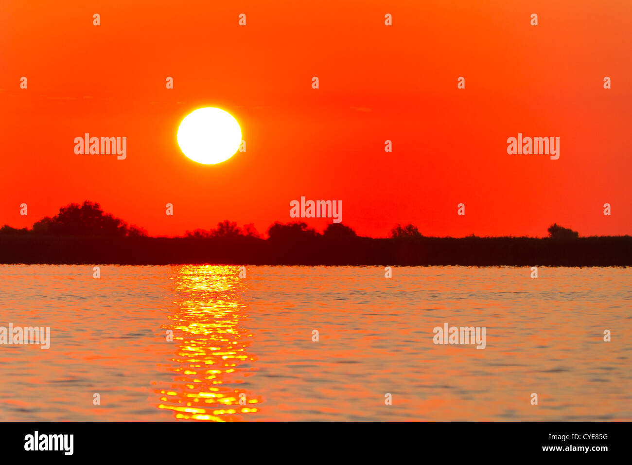 Sunrise nel Delta del Danubio Foto Stock