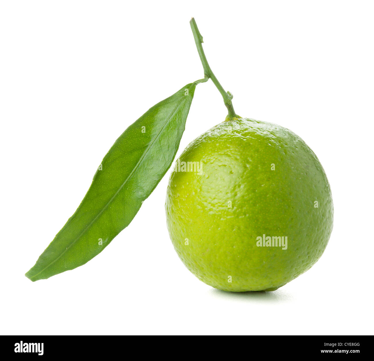 Lime fresco con foglia verde. Isolato su bianco Foto Stock