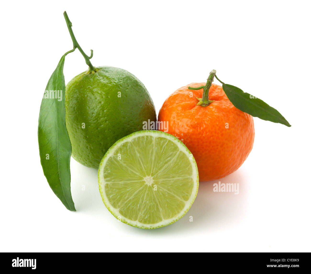 I tigli e mandarino. Isolato su sfondo bianco Foto Stock