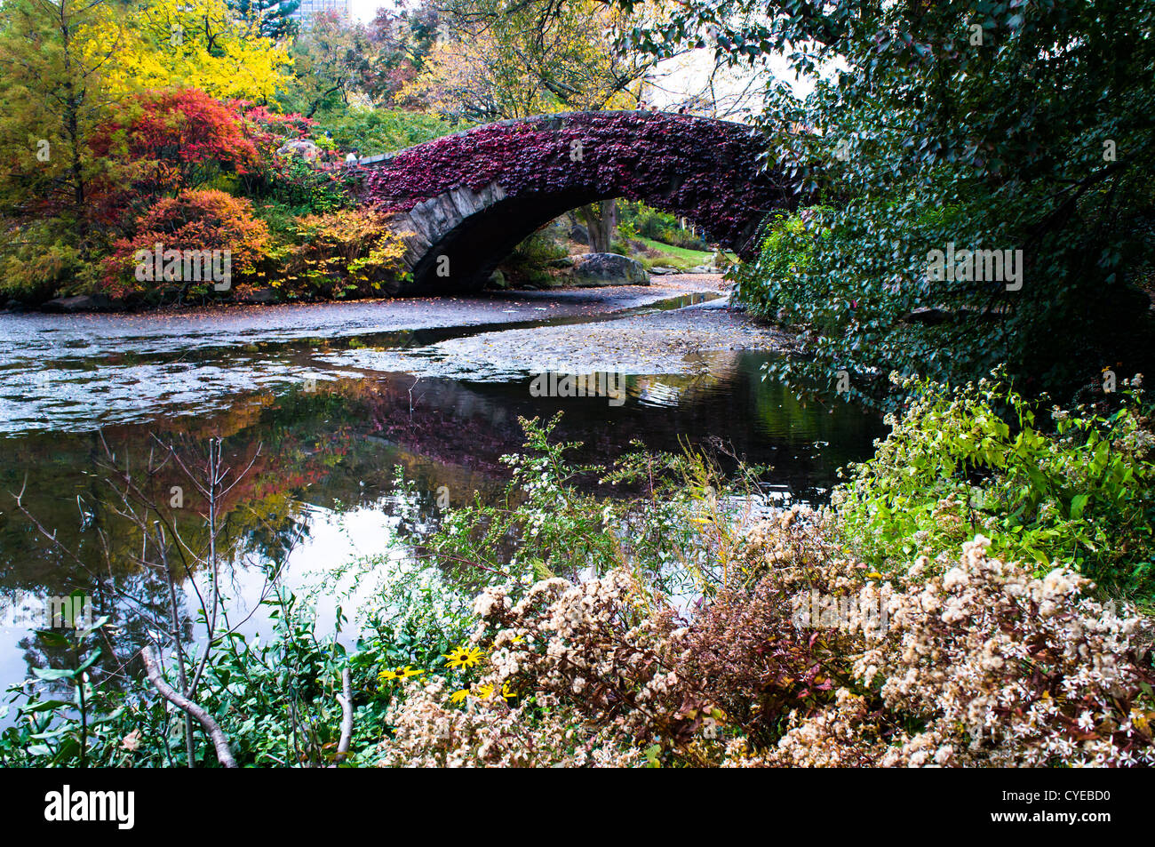 I colori autunnali di alberi che decorano il Gapstow Bridge nel Central Park di New York City. La foto è stata presa a due giorni prima dell uragano Sandy colpire l'area di New York City. Foto Stock