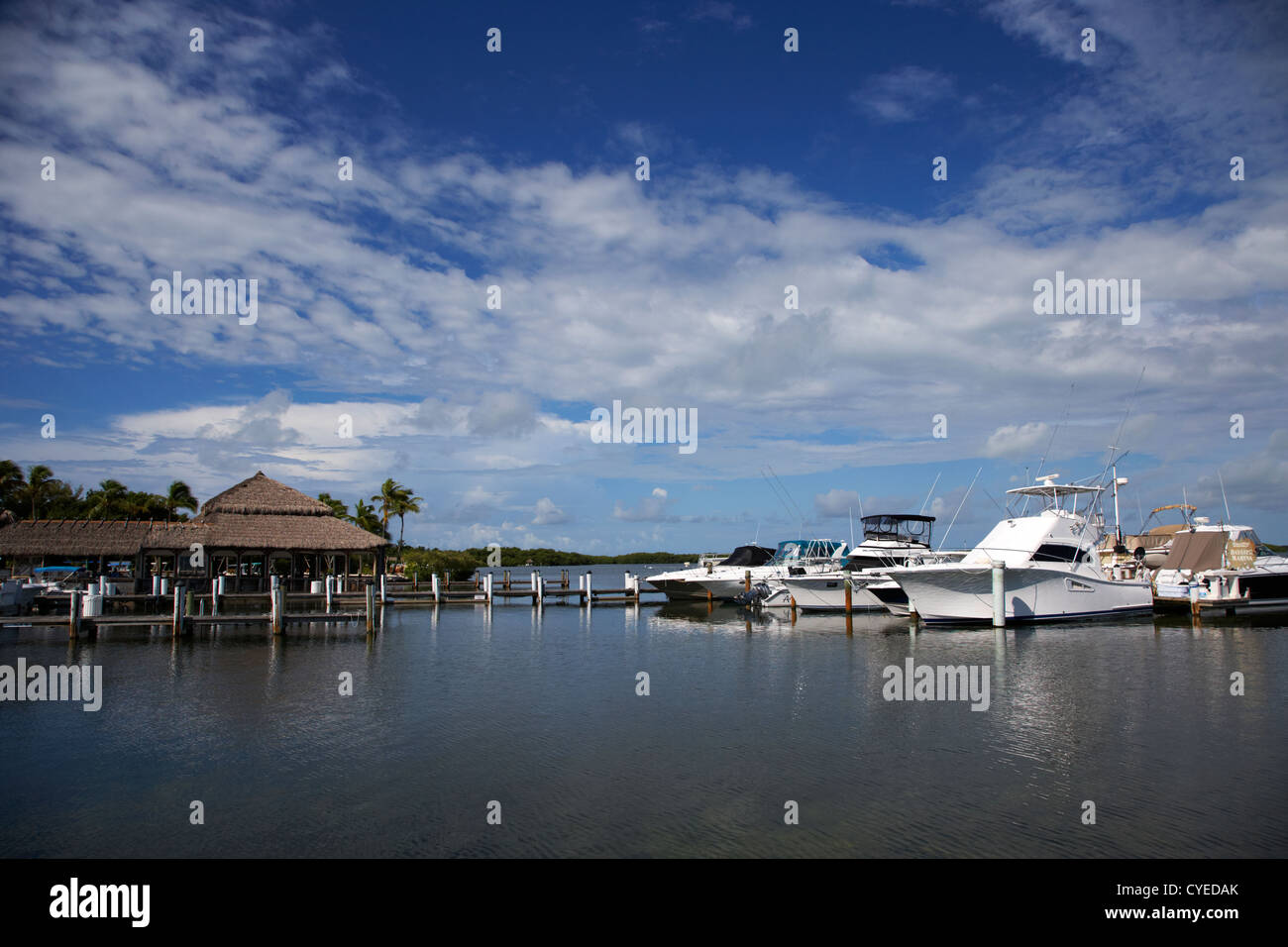 Pontile in legno e barche sportive islamorada Florida keys usa Foto Stock