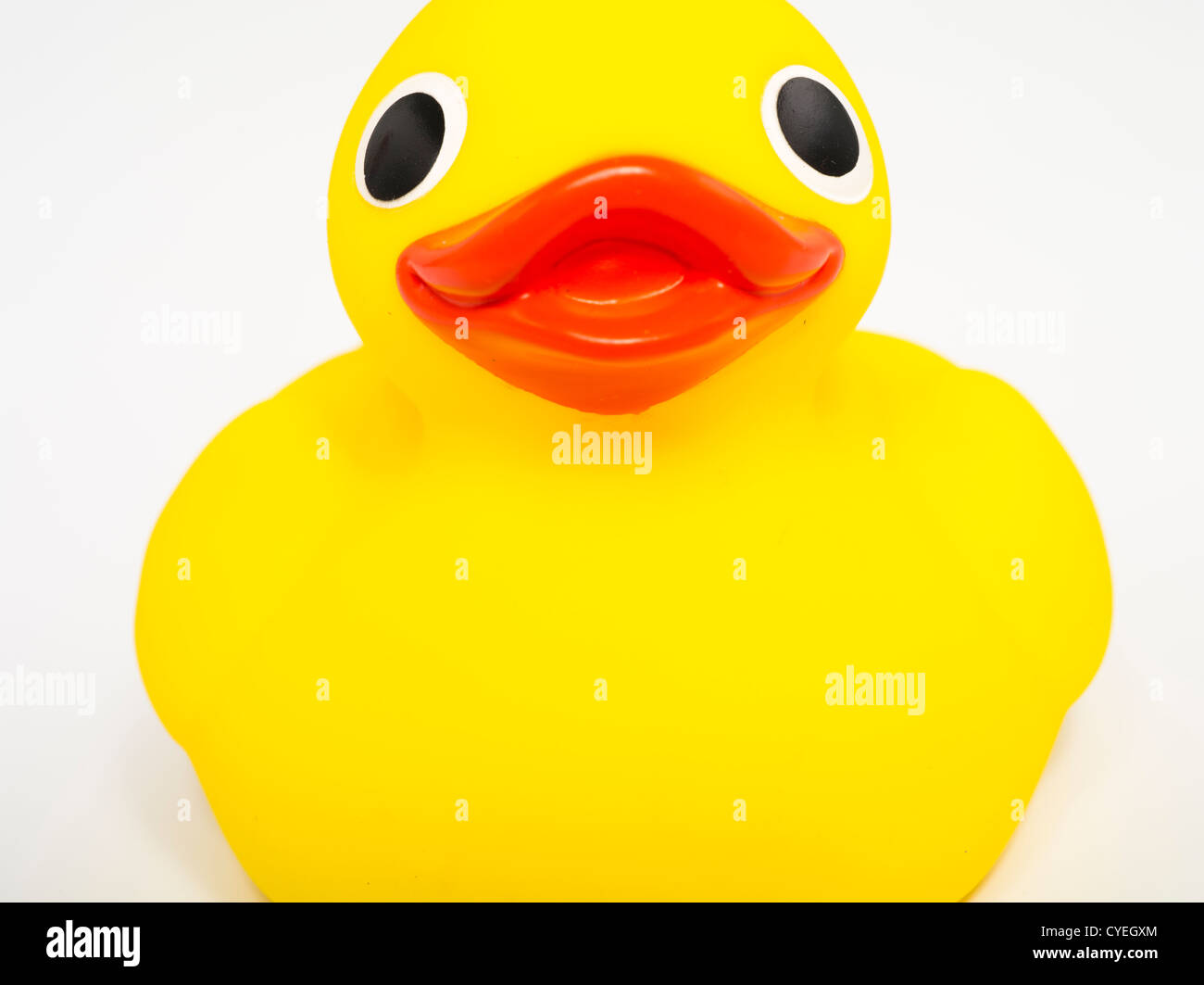 Gomma gialla Ducky giocattolo da bagno Foto Stock