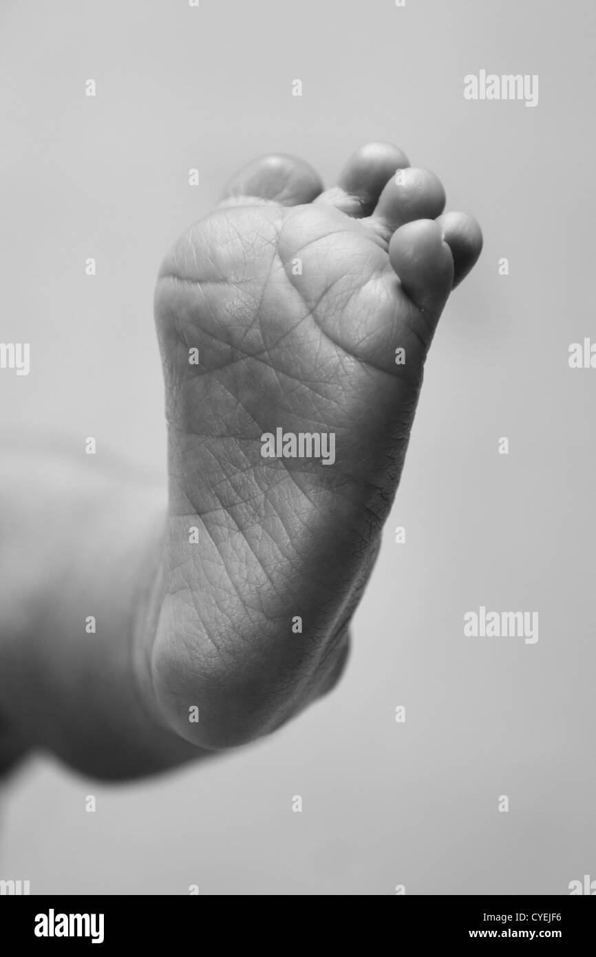 Carino il bambino neonato stropicciata piede con le dita dei piedi in bianco e nero e in scala di grigi. Foto Stock