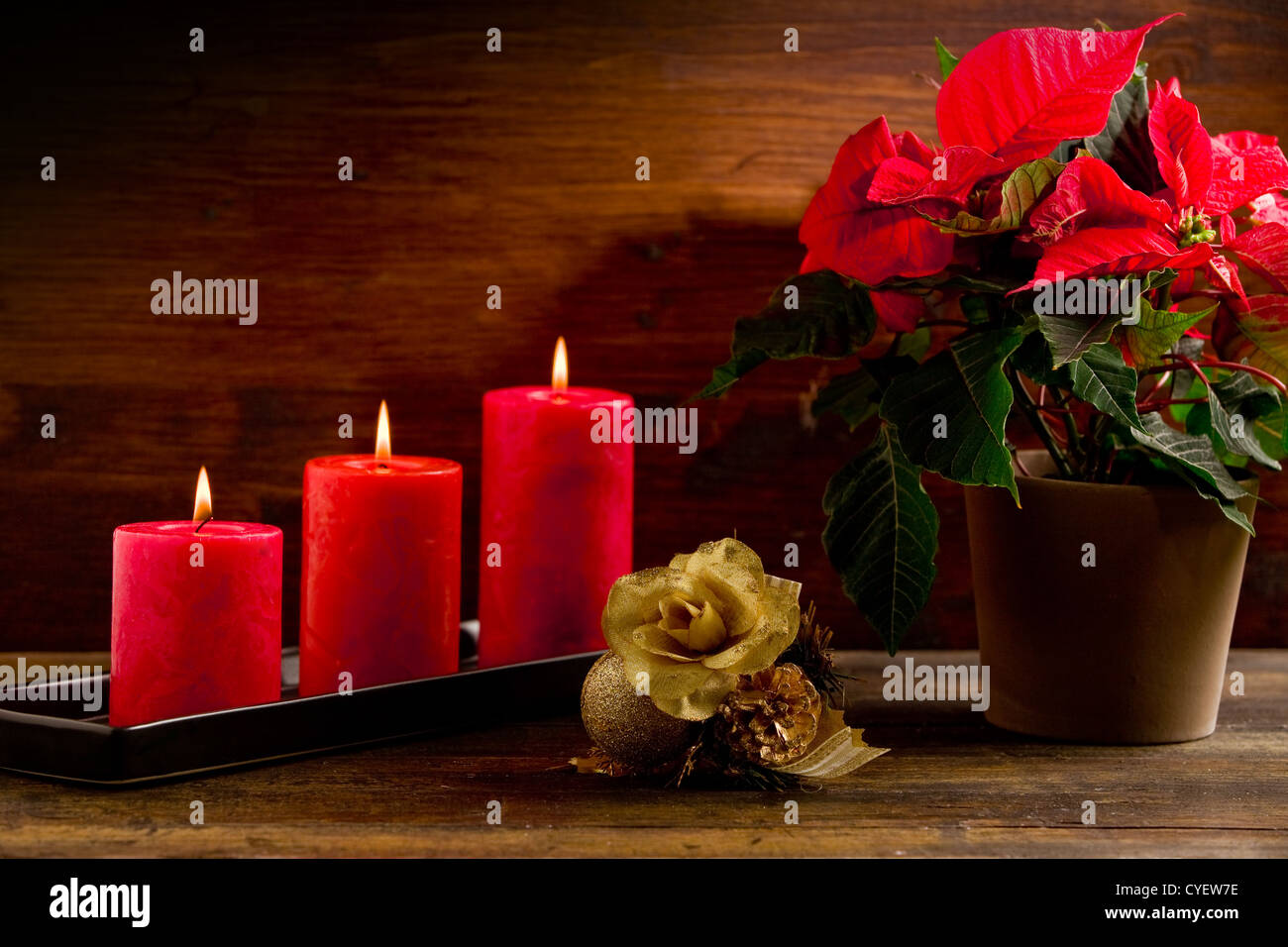 Foto della bellissima pianta poinsettia sul tavolo di legno illuminato da spot Foto Stock