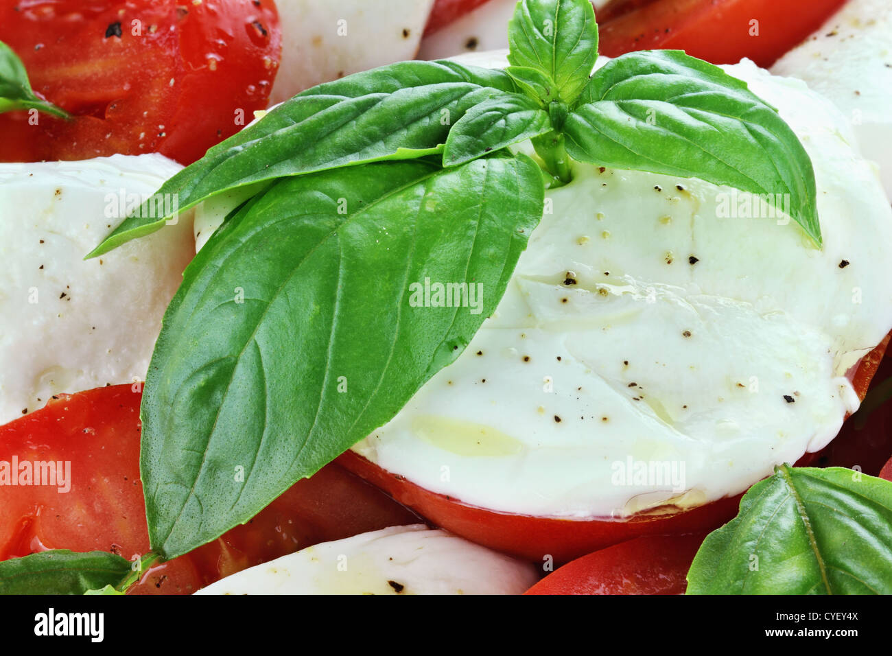 Extreme close up preparate di fresco deliziosa insalata caprese. Foto Stock