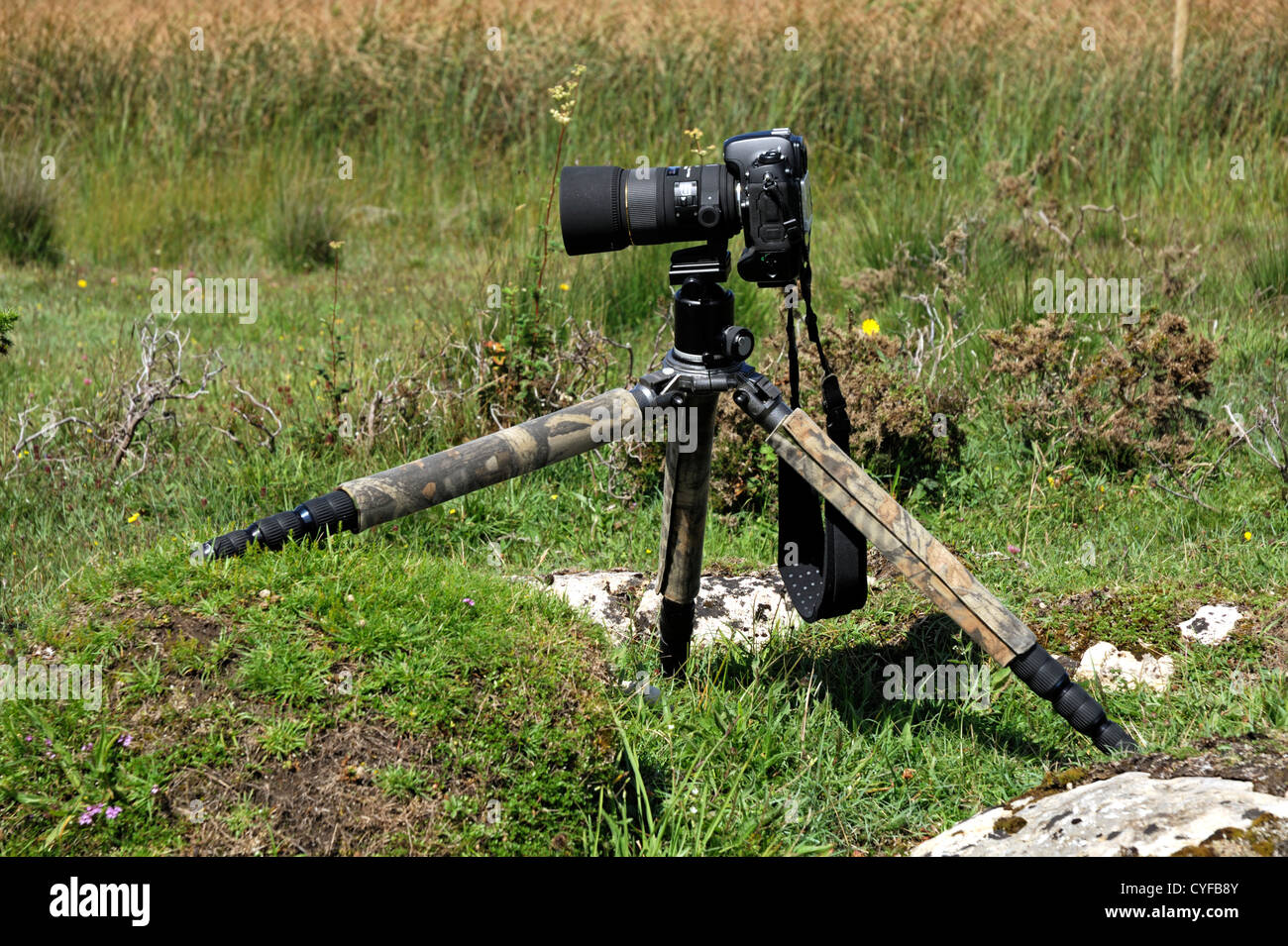 La fotocamera su un treppiede Foto Stock
