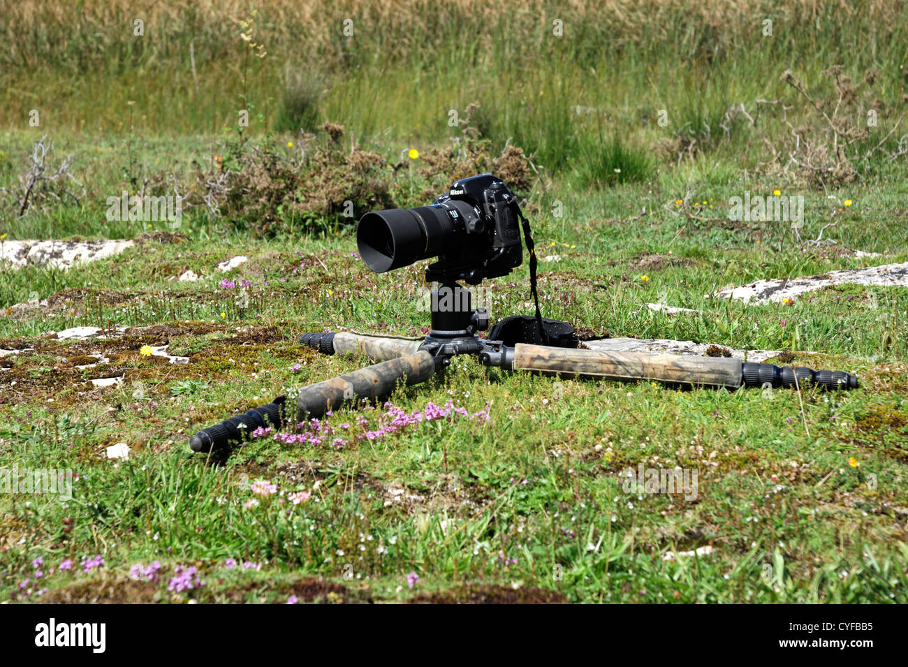 La fotocamera su un treppiede Foto Stock
