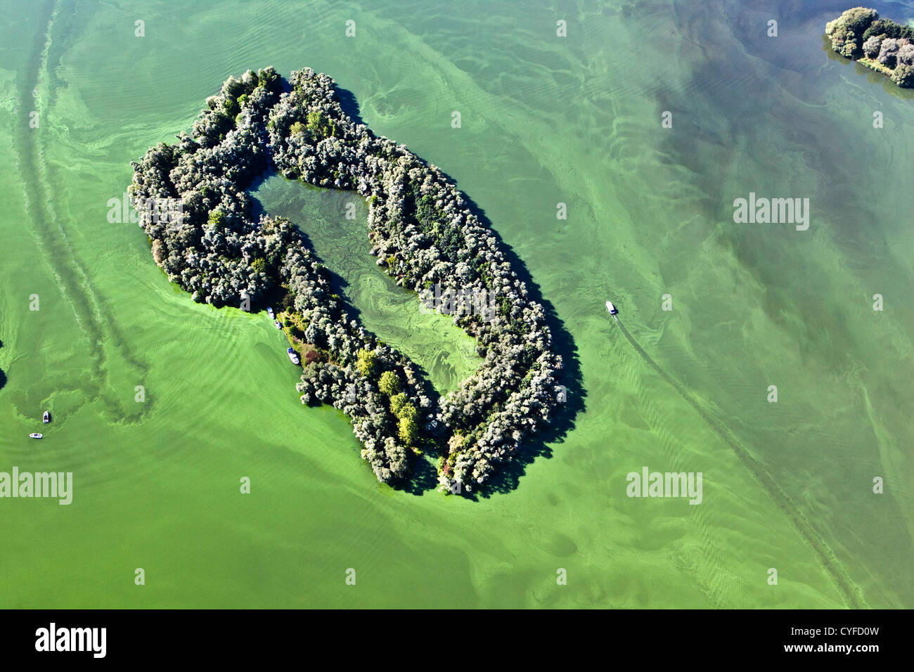 I Paesi Bassi, Maastricht, cianobatteri o alghe blu-verde il colore verde acqua in questo lago, yacht. Antenna. Foto Stock
