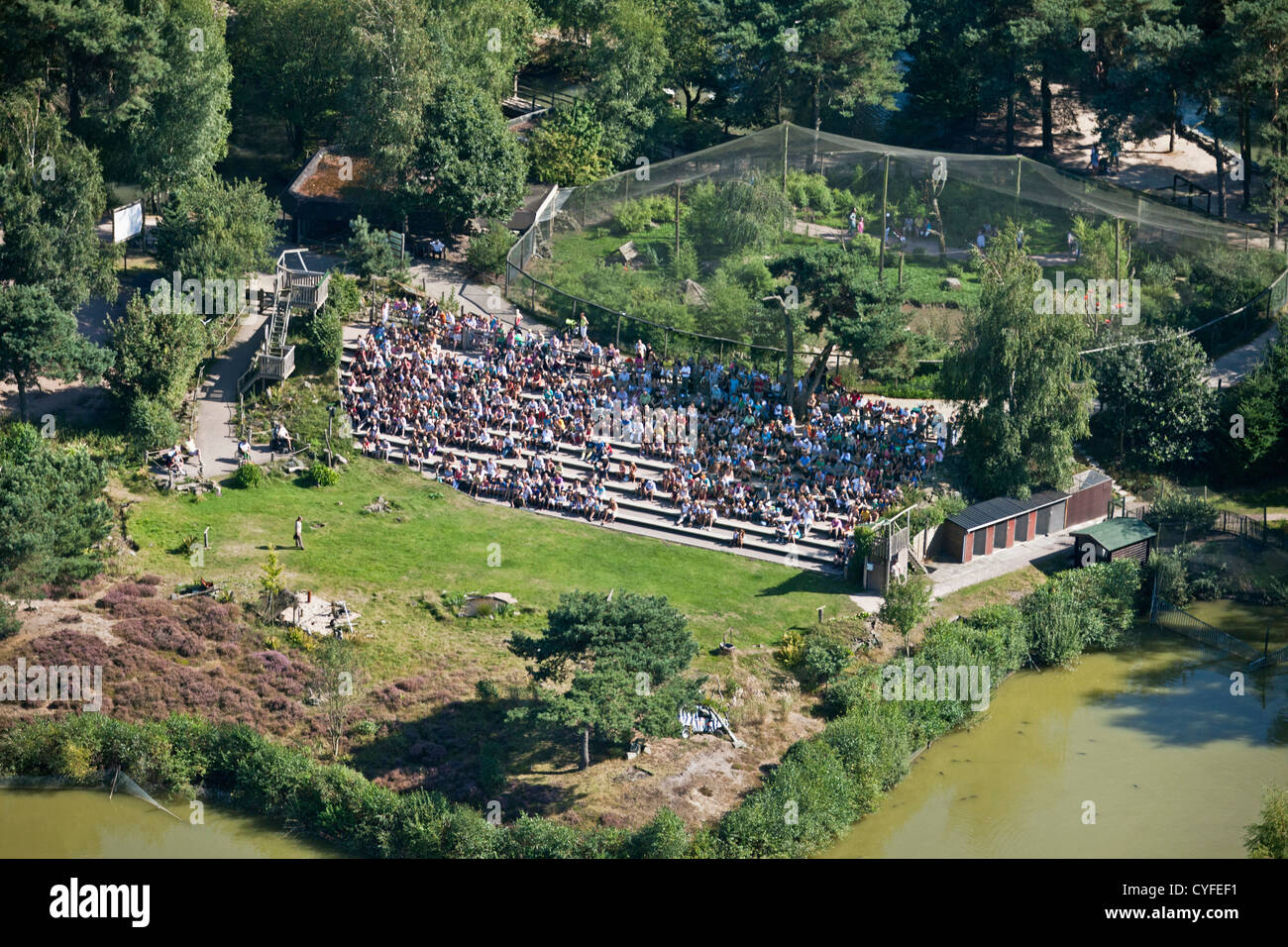 I Paesi Bassi, Hilvarenbeek. Lo zoo di fauna selvatica chiamato parco safari Beekse Bergen. Mostra di uccelli predatori. Antenna. Foto Stock