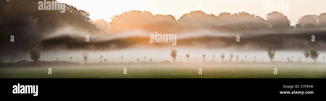 I Paesi Bassi, 's-Graveland, Rurale station wagon Hilvarenbeek. Vista panoramica. Nebbia di mattina. Sunrise. Foto Stock