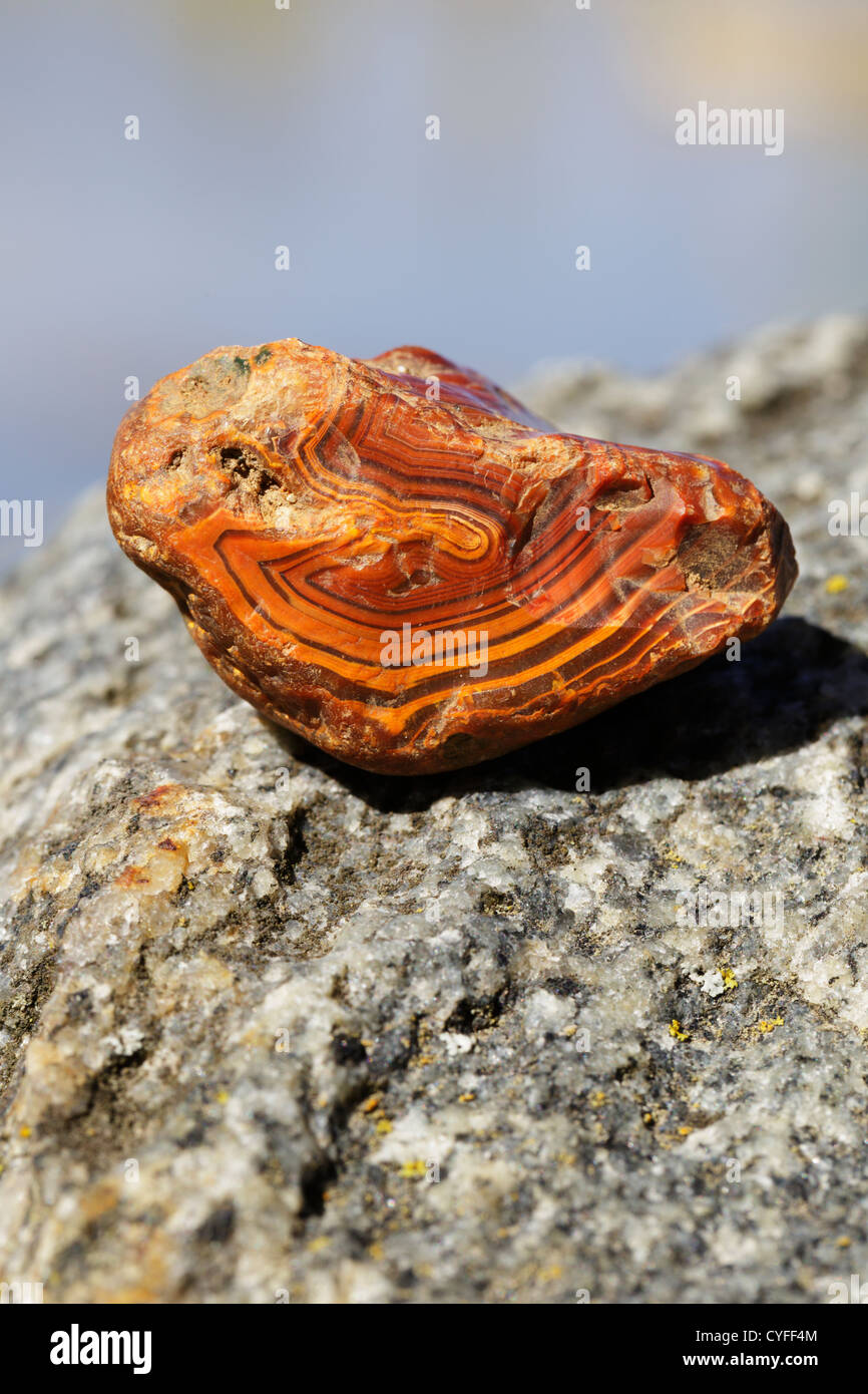 Un tipo di 'vernice' di agata del Lago superiore che mostra una colorazione ricca, quasi opaca, con tipo concoidale di frattura sulla destra. Foto Stock