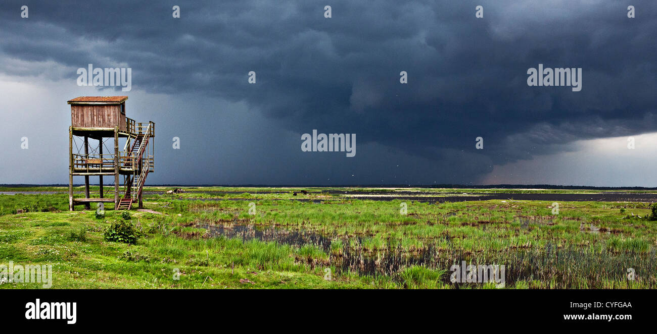 Distanza temporale e bird watching tower visto sopra il lago di Engure natura parco della Lettonia Foto Stock