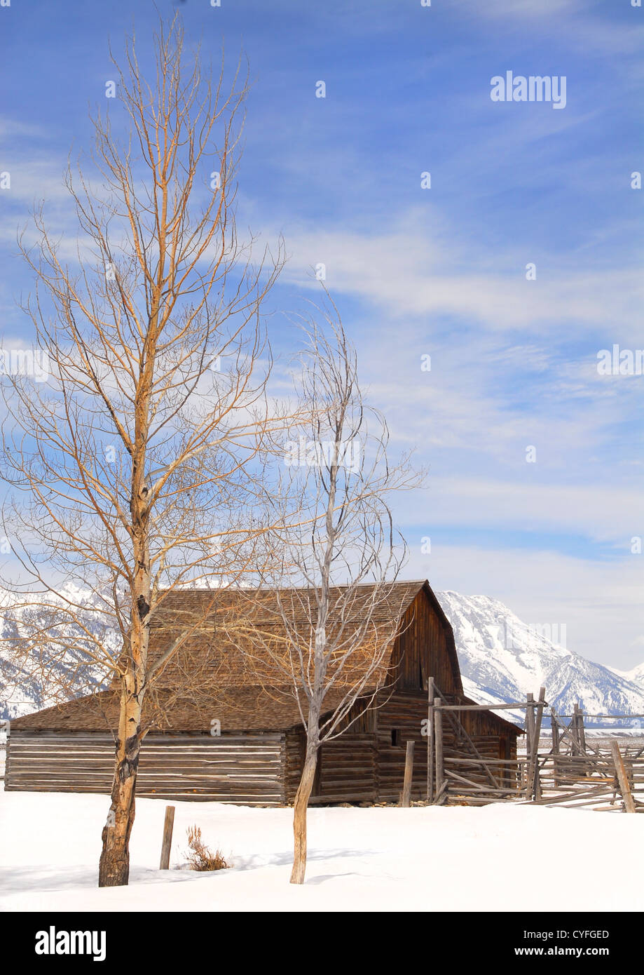 Vista invernale del Mouton fienile nel Teton National Park Foto Stock