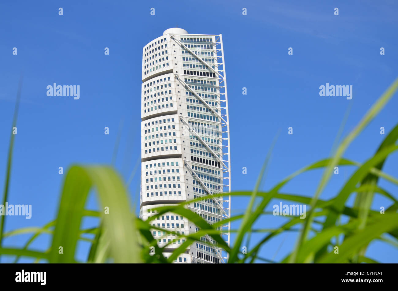 Ruotando il torso con erba davanti Foto Stock