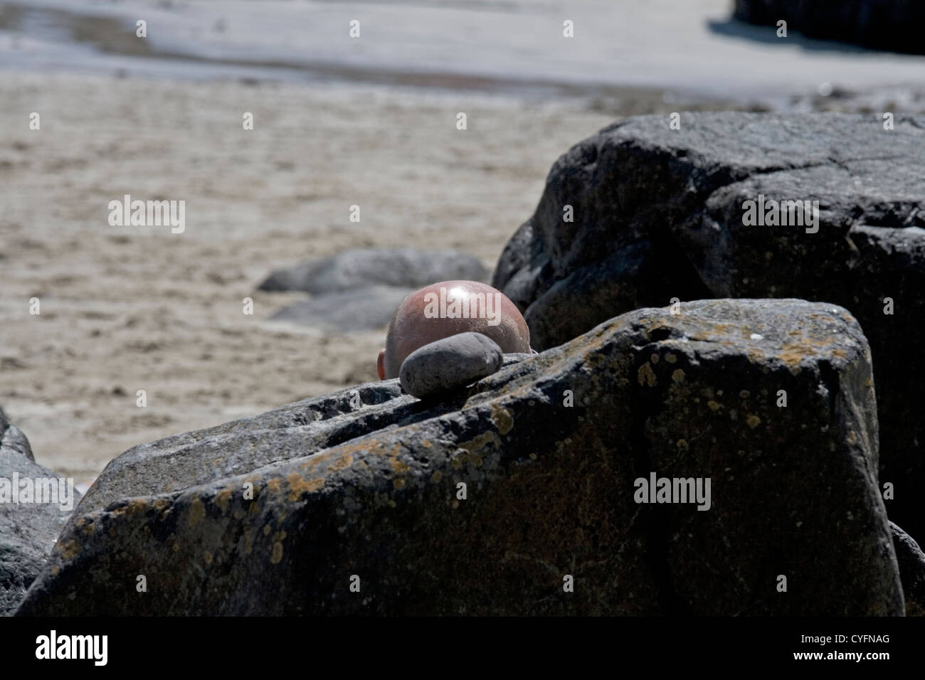 Una testa maschio calva al sole sulla spiaggia di Kynance, la penisola di Lizard, Cornovaglia, Regno Unito Foto Stock