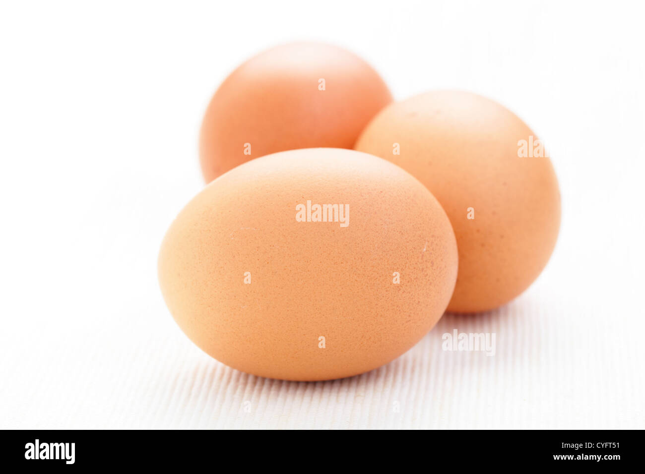 uova di galline Foto Stock