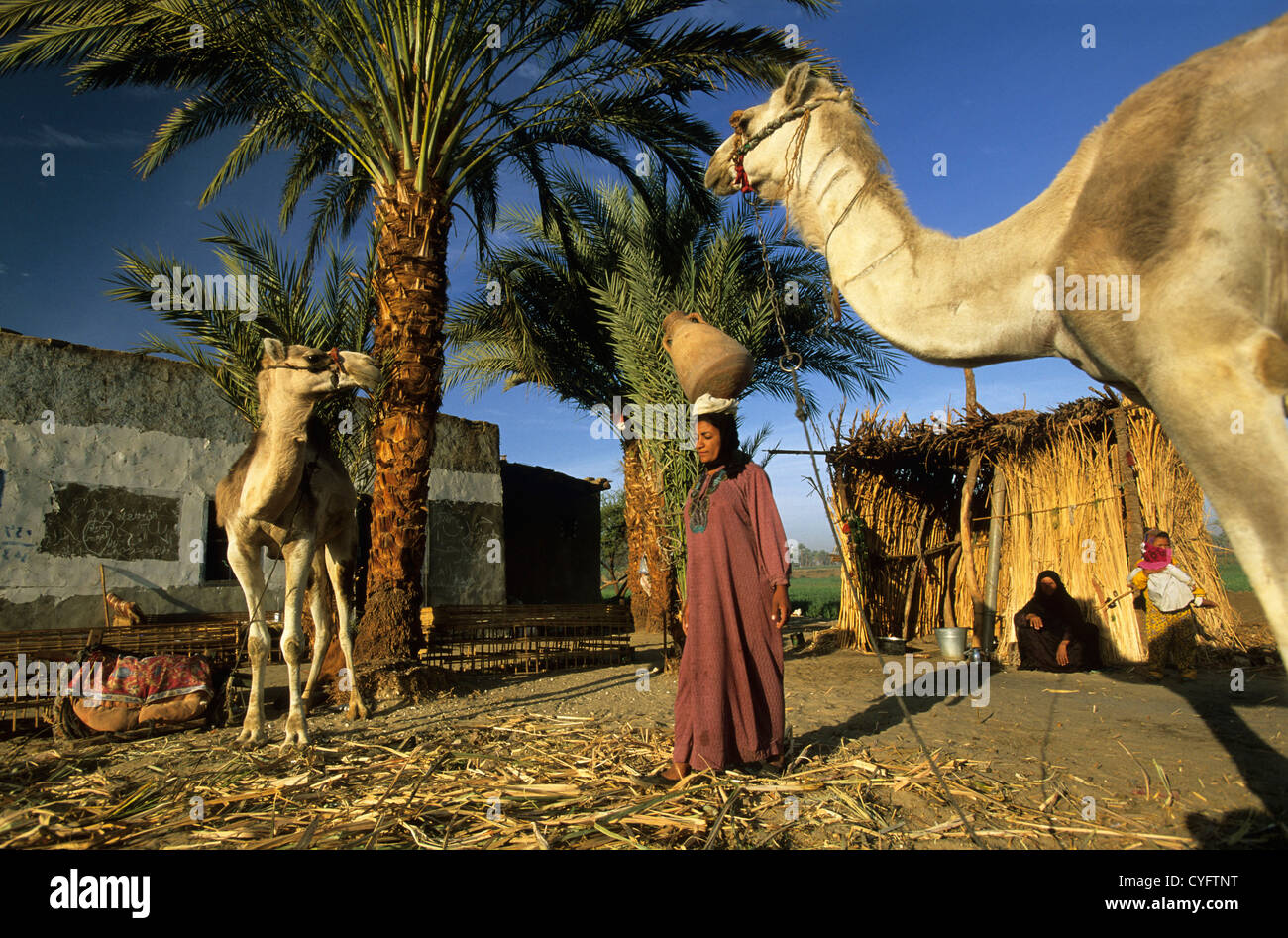 Egitto Luxor, fiume Nilo, West Bank, donna di uscire di casa per ottenere acqua con i jar dal fiume Nilo. Cammelli Foto Stock
